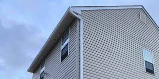 Best Custom Trim and Detailing for Siding  in Adelino, NM